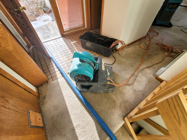Trusted AL Water damage restoration Experts