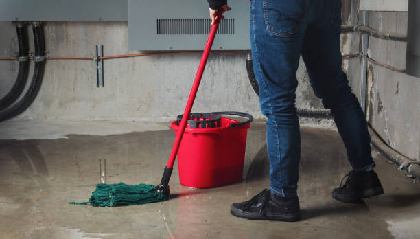 Best Mold removal after water damage  in Prattville, AL