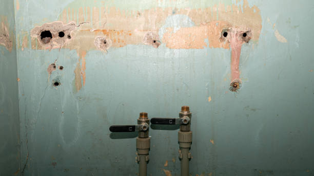 Best 24/7 water damage repair  in Prattville, AL
