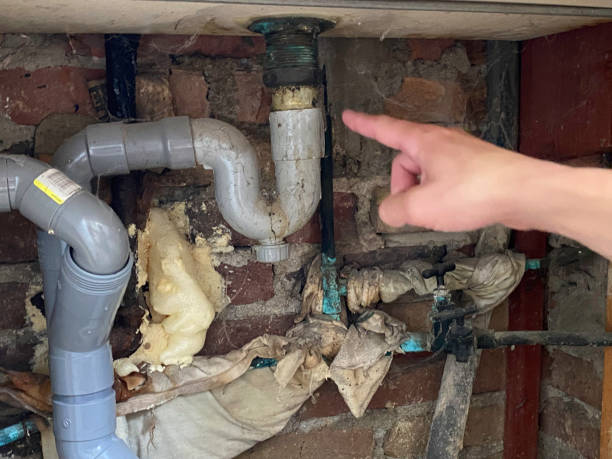 Best Water damage contractors near me  in Prattville, AL