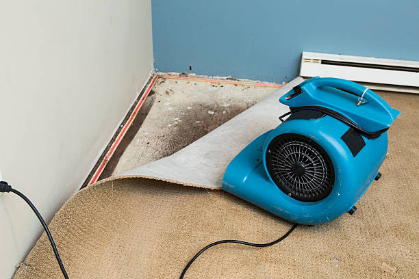 Best Commercial water damage restoration  in Prattville, AL